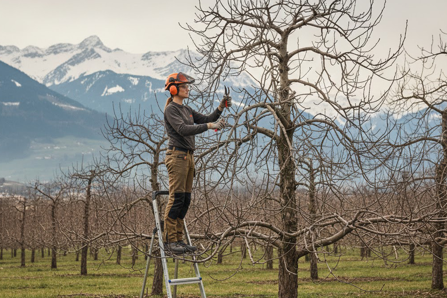 Creazione e manutenzione di giardini a Lugano